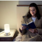 Gamma Clarity Lamp: Boost Focus & Memory with 40Hz Light Therapy Gamma Clarity Lamp: Boost Focus & Memory with 40Hz Light Therapy