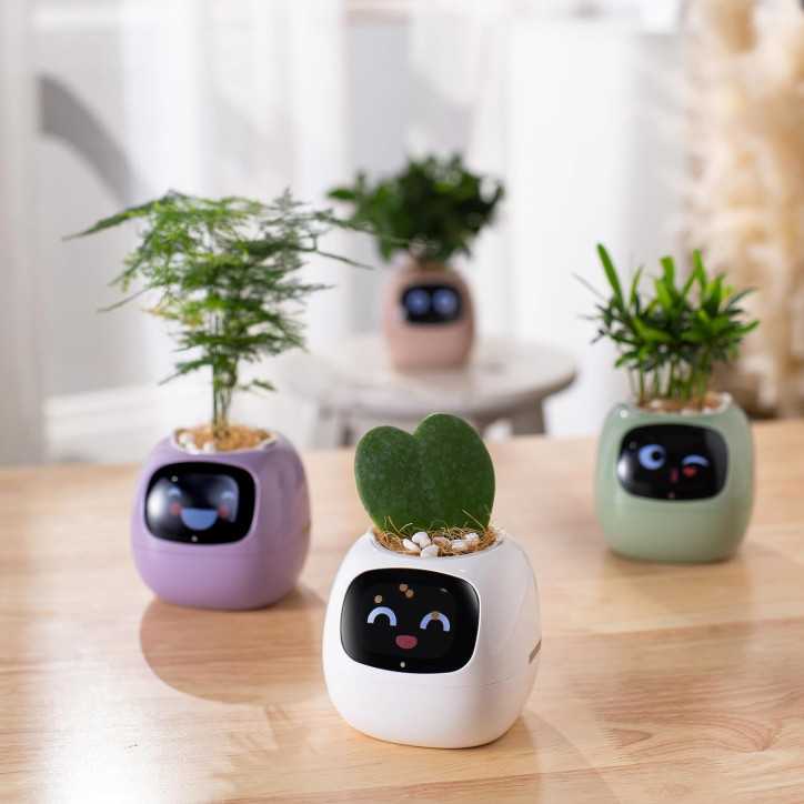 Ivy Smart Pet Planter: Grow Smarter with Emoji Feedback & Auto Watering! Perfect Desk Plant Companion Ivy Smart Pet Planter: Grow Smarter with Emoji Feedback & Auto Watering! Perfect Desk Plant Companion