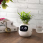 Ivy Smart Pet Planter: Grow Smarter with Emoji Feedback & Auto Watering! Perfect Desk Plant Companion Ivy Smart Pet Planter: Grow Smarter with Emoji Feedback & Auto Watering! Perfect Desk Plant Companion