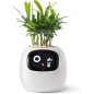 Ivy Smart Pet Planter: Grow Smarter with Emoji Feedback & Auto Watering! Perfect Desk Plant Companion Ivy Smart Pet Planter: Grow Smarter with Emoji Feedback & Auto Watering! Perfect Desk Plant Companion