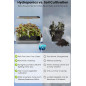 Inbloom Hydroponics Growing System: Indoor Herb Garden Kit with LED Light & Automatic Water Pump - Grow Fresh Herbs & Veggies! Inbloom Hydroponics Growing System: Indoor Herb Garden Kit with LED Light & Automatic Water Pump - Grow Fresh Herbs & Veggies!