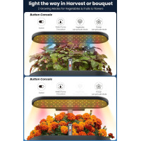 Inbloom 12 Pods Hydroponic Growing System  Easy Indoor Gardening Kit.
