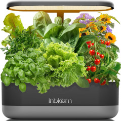 Inbloom 12 Pods Hydroponic Growing System  Easy Indoor Gardening Kit.
