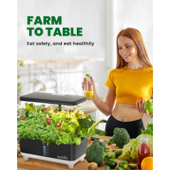 RAINPOINT Hydroponic System  13 Pods Indoor Garden with LED Light