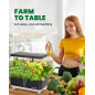 RAINPOINT Hydroponics Growing System: 13-Pod Indoor Herb Garden with LED Grow Light & 5L Tank - Grow Fresh Herbs Year-Round! RAINPOINT Hydroponics Growing System: 13-Pod Indoor Herb Garden with LED Grow Light & 5L Tank - Grow Fresh Herbs Year-Round!
