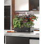 iDOO 12-Pod Hydroponic Garden: Grow Fresh Herbs & Veggies Indoors, Year-Round! iDOO 12-Pod Hydroponic Garden: Grow Fresh Herbs & Veggies Indoors, Year-Round!