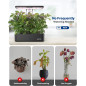 iDOO 12-Pod Hydroponic Garden: Grow Fresh Herbs & Veggies Indoors, Year-Round! iDOO 12-Pod Hydroponic Garden: Grow Fresh Herbs & Veggies Indoors, Year-Round!
