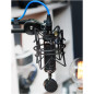 Blue Blackout Spark SL XLR Mic: Pro Studio Sound for Podcast, Streaming & Gaming - FREE SHIPPING! Blue Blackout Spark SL XLR Mic: Pro Studio Sound for Podcast, Streaming & Gaming - FREE SHIPPING!