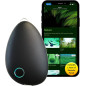 Sensate: Your Personal Stress Relief Device - Calm, Focus, & Better Sleep