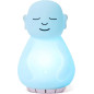 Bouddha Respiration Mindsight : Méditation Guidée Anti-Stress & Relaxation, Idéal Enfants & Adultes Bouddha Respiration Mindsight : Méditation Guidée Anti-Stress & Relaxation, Idéal Enfants & Adultes