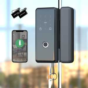 Serrure de Porte en Verre Intelligente Sophies: Reconnaissance Faciale 3D, WiFi, et Contrôle Tuya