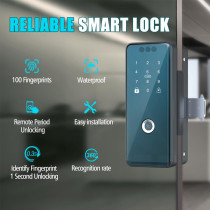 Verrou Intelligent WiFi : Reconnaissance Faciale & Empreinte