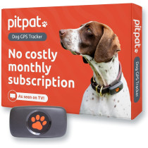 Black Dog GPS Tracker: Real-Time Location, No Subscription! Lifetime SIM & Vet Approved
