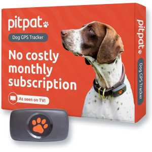 Traceur GPS Chien sans Abonnement: Localisation en Temps Réel & Suivi dActivité