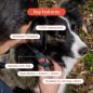 Traceur GPS Chien sans Abonnement: Localisation en Temps Réel & Suivi dActivité