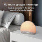 Housbay Sunrise Alarm Clock: Wake Up Naturally with Gentle Light & Soothing Sounds Housbay Sunrise Alarm Clock: Wake Up Naturally with Gentle Light & Soothing Sounds