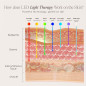 Masque LED Visage & Cou LightAura Plus : Rajeunissement, Anti-Âge, 7 Couleurs pour une Peau Éclatante Masque LED Visage & Cou LightAura Plus : Rajeunissement, Anti-Âge, 7 Couleurs pour une Peau Éclatante