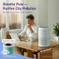 LEVOIT Core 300-P: Purificateur dair HEPA 1074 pi² pour Allergies et Animaux, Silencieux!