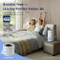 LEVOIT Core 300-P: Breathe Easy! HEPA Air Purifier for Allergies, Pets, & Sleep (1074 sq ft) LEVOIT Core 300-P: Breathe Easy! HEPA Air Purifier for Allergies, Pets, & Sleep (1074 sq ft)