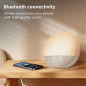 Réveil Lumière Naturelle avec Sons & Bluetooth: Votre Simulateur dAube Personnalisé! Réveil Lumière Naturelle avec Sons & Bluetooth: Votre Simulateur dAube Personnalisé!
