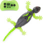 HEX BOTS Wall Crawler Gecko: Climb Walls, Prank Friends - Rechargeable RC Robot for Kids 4+