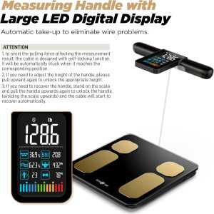 RunSTAR Smart Scale: 8-Electrode Body Composition Analyzer - Track BMI, Fat%, & More! FSA/HSA Eligible