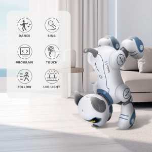 Robot Chien Télécommandé : Jouet Programmable 3-8 Ans