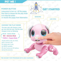 BIRANCO Chien Robot Rose Interactif – Cadeau Enfant 3-8 ans