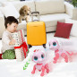 Chien Robot Télécommandé Rose BIRANCO: Le Cadeau Interactif STEM Parfait pour Enfants (3-8 ans)