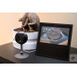 Kasa Cam: 1080p Smart Security Camera - Protect Your Home with 2-Way Audio & Night Vision! Kasa Cam: 1080p Smart Security Camera - Protect Your Home with 2-Way Audio & Night Vision!