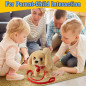 Interactive Plush Golden Retriever Toy Dog for Kids – Walking, Barking, Tail Wagging, Stretching Puppy