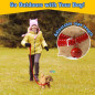 Jouet Peluche Golden Retriever Électronique Interactif - Marche, Aboye, Remue la Queue, Compagnon Enfants