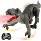 Dinosaure Télécommandé Robot pour Enfants 3-7 ans avec Jambes Réalistes & Jet d’Eau, Cadeau Anniversaire Dinosaure Télécommandé Robot pour Enfants 3-7 ans avec Jambes Réalistes & Jet d’Eau, Cadeau Anniversaire