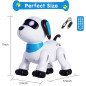 Yiman Programmable Remote Control Robot Dog Toy with LED Eyes, Interactive Dancing Stunt Pet for Kids 3+ (Pink)