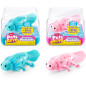 Pets Alive Robo Axolotl Swimming Electronic Pet Toy - 2 Pack by ZURU Pets Alive Robo Axolotl Swimming Electronic Pet Toy - 2 Pack by ZURU