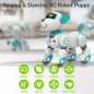 STEMTRON Robot Animal Programmable Télécommande Interactive Chien & Chat RC LED Danse Musique STEMTRON Robot Animal Programmable Télécommande Interactive Chien & Chat RC LED Danse Musique