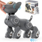 Meet VATOS, the robot dog sparking empathy and creativity in young geniuses Meet VATOS, the robot dog sparking empathy and creativity in young geniuses