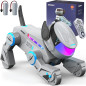 Offrez l’ami robotique du futur : CyberDog interactif, commandes tactiles et télécommande pour enfants 6+ Offrez l’ami robotique du futur : CyberDog interactif, commandes tactiles et télécommande pour enfants 6+