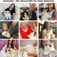 Your cuddly AI cat: MetaCat, realistic sounds, touch feedback, USB-C, soft hypoallergenic coat, bright eyes