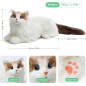Le chat malin qui comprend tout : MetaCat, vrai ronron, capteurs tactiles, yeux lumineux, USB-C, super câlin Le chat malin qui comprend tout : MetaCat, vrai ronron, capteurs tactiles, yeux lumineux, USB-C, super câlin