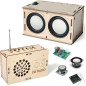 Science en musique : kit radio + haut-parleur DIY, facile, sûr, réel, cadeau idéal pour petits curieux et créatifs