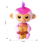 Meet Harmony, the pop star monkey who follows you, plays, sings & shares love softly everywhere