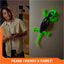 HEX BOTS Gecko lumineux RC – Robot mural rechargeablé 4+