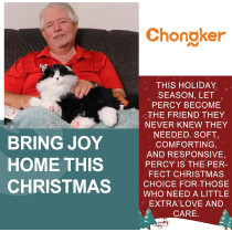 Robot Chat Interactif Chongker, Peluche Noir Réaliste avec Sons