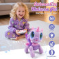 BIRANCO Robot Licorne Télécommandé pour Filles 3-6 Ans, Jouet Interactif STEM et Cadeau Surprise BIRANCO Robot Licorne Télécommandé pour Filles 3-6 Ans, Jouet Interactif STEM et Cadeau Surprise