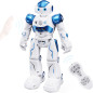 SGILE Gesture Sensing Programmable Rechargeable RC Robot Toy for Kids Ages 3-12, Blue Birthday Gift SGILE Gesture Sensing Programmable Rechargeable RC Robot Toy for Kids Ages 3-12, Blue Birthday Gift