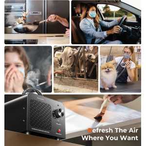 Générateur Ozone 48,000mg Purificateur Air Puissant 4000ft²