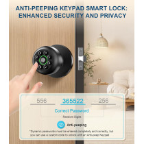 Serrure de porte biométrique à empreinte digitale avec clavier, contrôle app, auto-verrouillage, noir mat