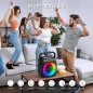 Portable Karaoke Machine with Bluetooth, 2 Wireless Mics, Lights, PA System, USB/TF/REC/FM/AUX for Home Party