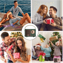 Dosmix Retro Bluetooth Speaker - Vintage Mini Wireless Speaker (Green)